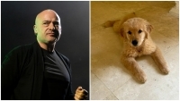 DISTURBED frontman David Draiman pleads for safe return of his family's puppy